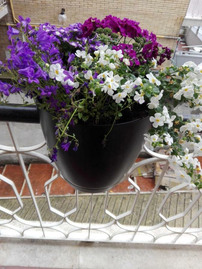 Interno 1 Ciampino Roma Luxury Apartment Con Balcone Bagian luar foto